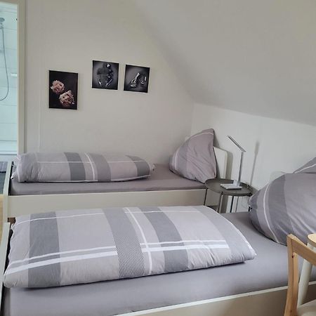 A&V Apartments Gemuetliche Rheinblick Wohnung Apt Daisy Ντούισμπουργκ Εξωτερικό φωτογραφία