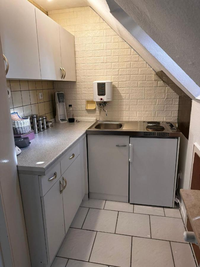 A&V Apartments Gemuetliche Rheinblick Wohnung Apt Daisy Ντούισμπουργκ Εξωτερικό φωτογραφία