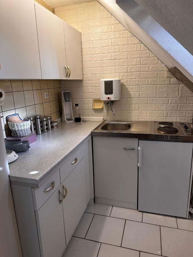 A&V Apartments Gemuetliche Rheinblick Wohnung Apt Daisy Ντούισμπουργκ Εξωτερικό φωτογραφία