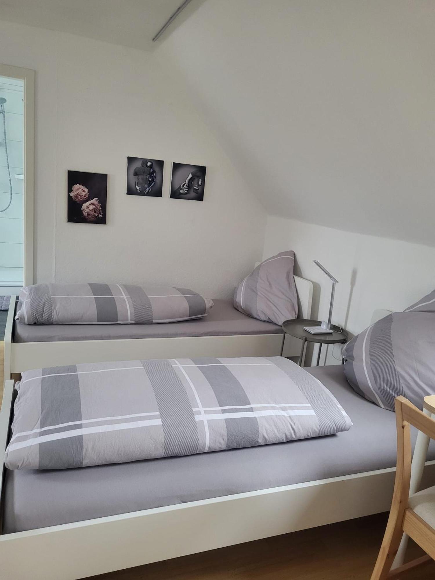 A&V Apartments Gemuetliche Rheinblick Wohnung Apt Daisy Ντούισμπουργκ Εξωτερικό φωτογραφία